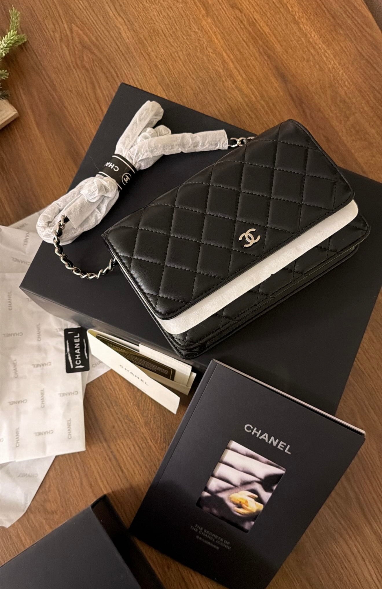 Chanel Bag