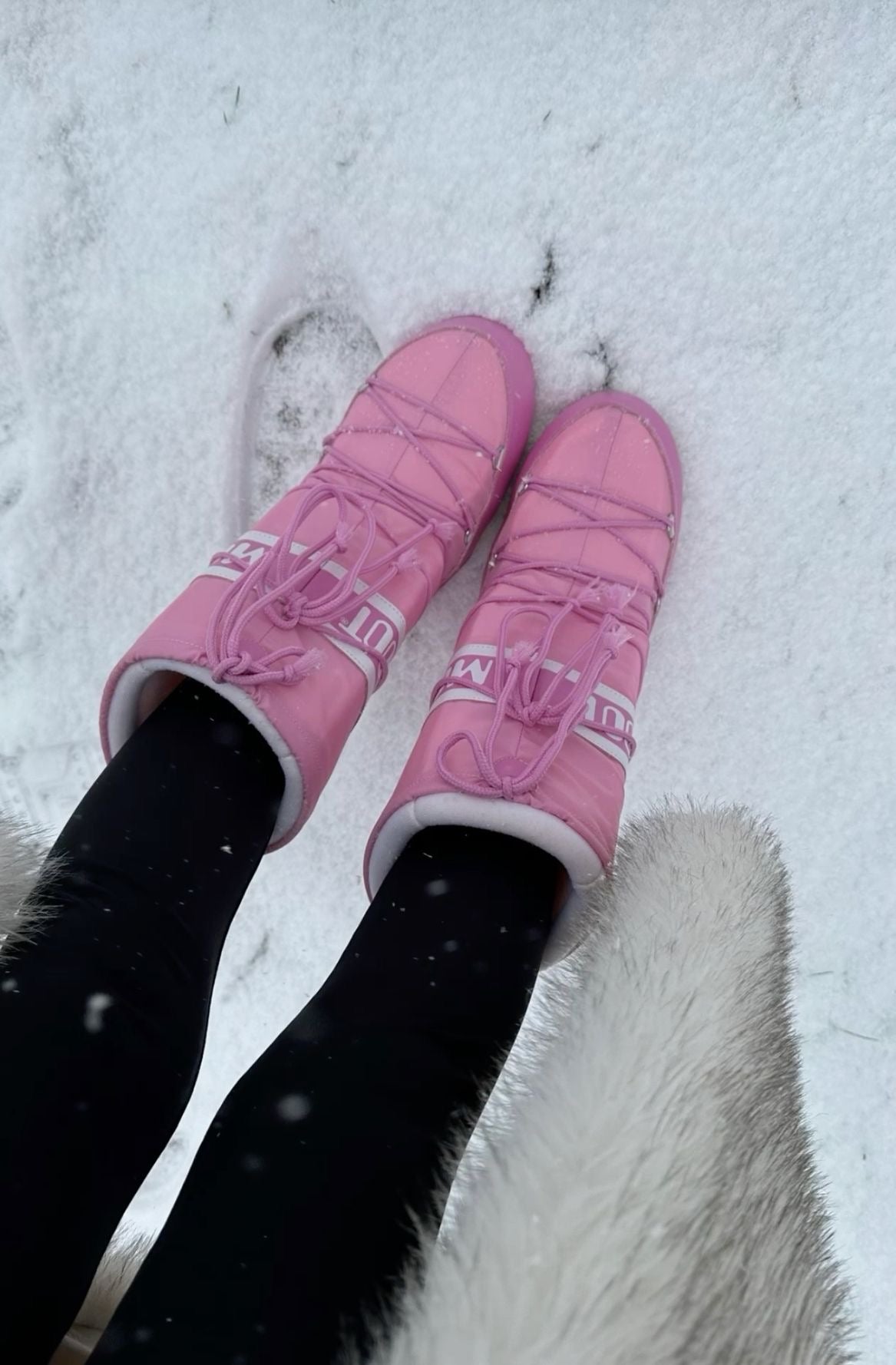High Pink Moon Boots