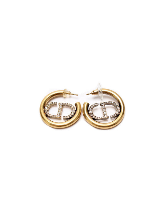 Dior earings